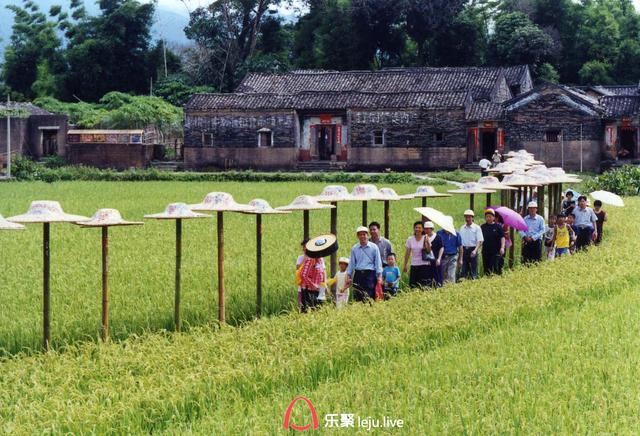 把全村带去旅游！开启乡村美好时代之旅