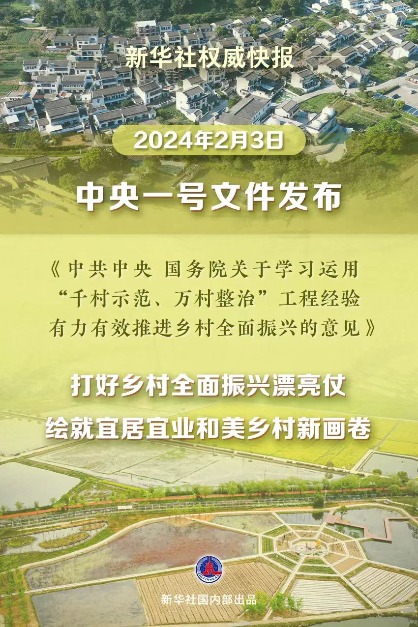 今年中央一号文件聚焦六大群体，新政策引领乡村振兴——解读背后的深意与影响！这背后究竟是谁在受益？揭秘重磅利好消息源头。