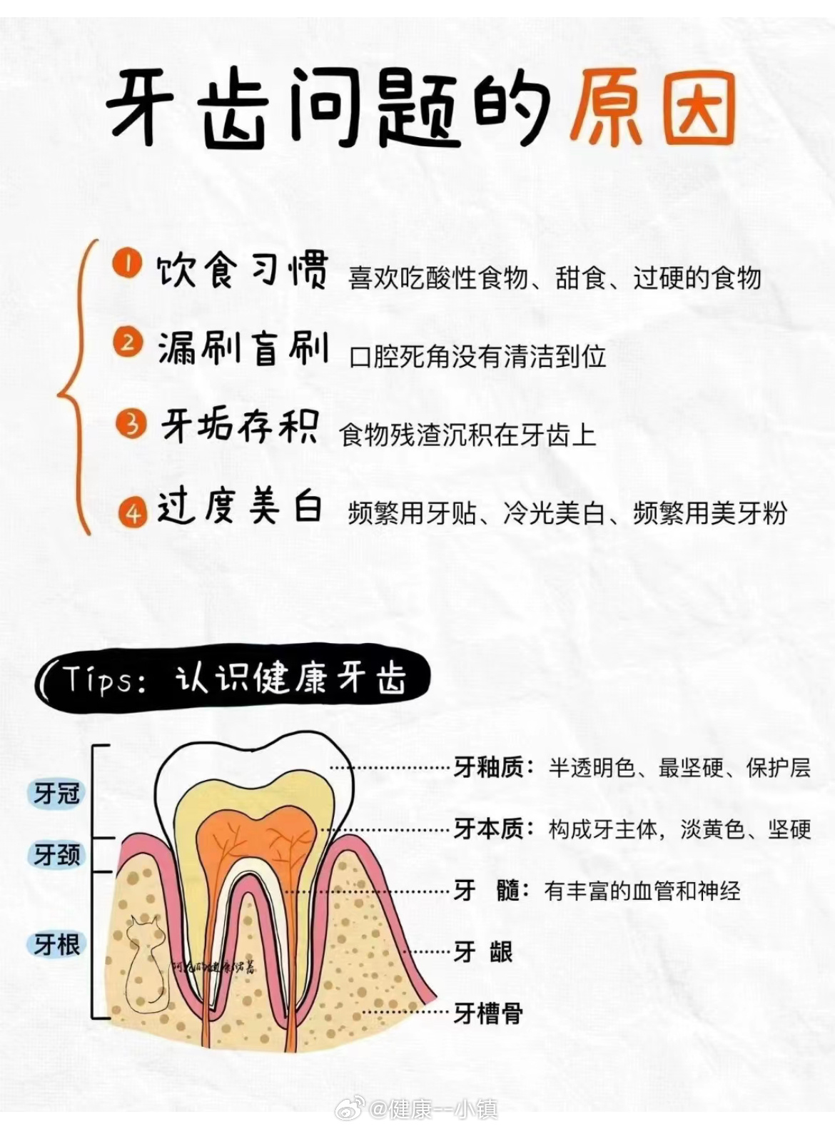 牙齿牵动全身健康，不容忽视的口腔影响秘密