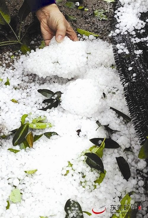 广东冰雹密集砸地，多地受灾现场触目惊心！罕见极端天气背后的真相是什么？皮肤病患者也需警惕次生灾害风险。