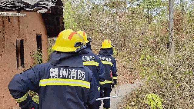 震惊！菜园惊现巨型蟒蛇悠闲散步，消防紧急出动揭秘背后真相！