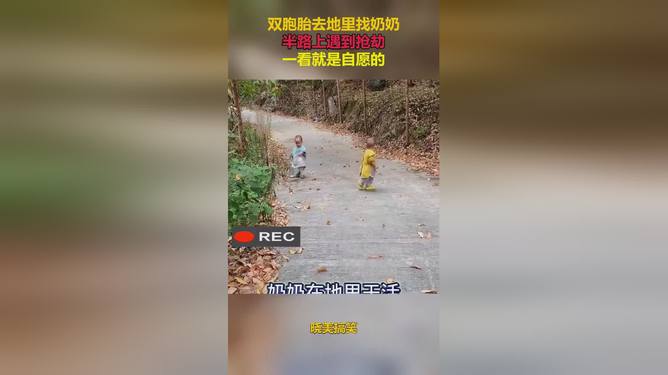 贪官隐秘手段揭秘，茅台藏地下，玉米覆其上——贪腐背后的离奇故事！最新资讯深度解读。