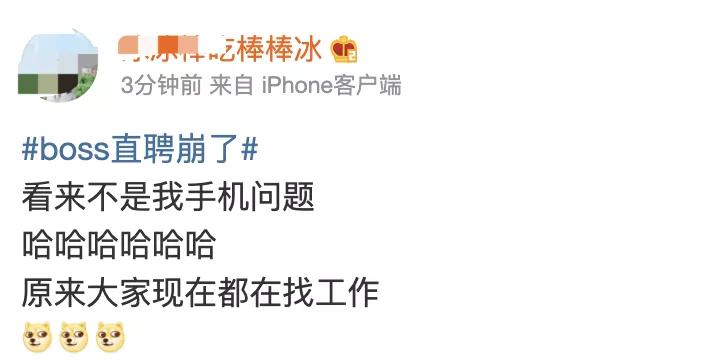 Boss直聘系统崩溃引发社会关注，深度解读背后的故事！揭示事件真相与未来趋势。