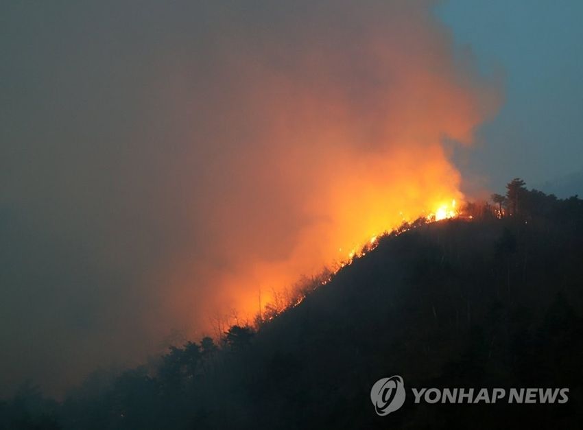 韩国山火肆虐酿成悲剧，四死九伤，灾难背后呼唤深度反思！悬念重重待解……​​​⚠️🔥